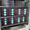 cellule cresciute in flask all'interno dell'incubatore