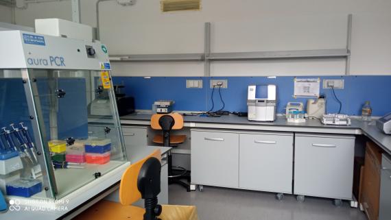 laboratorio biologia molecolare