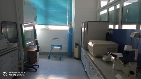 Laboratorio di Biologia Cellulare