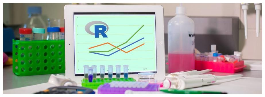 biostatistica_maggio_2019_cnr.jpg 