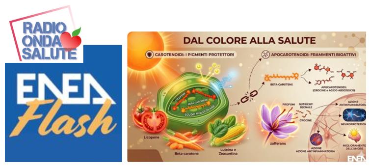 Carotenoidi e Apocarotenoidi, gli "scudi molecolari" della natura Carotenoidi e Apocarotenoidi, gli "scudi molecolari" della natura