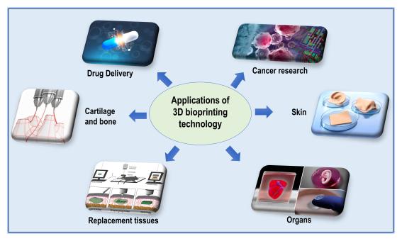 Applicazioni delle stampanti 3D nella ricerca biomedica