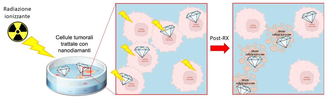 Interazione radiazioni e nano-diamanti nel trattamento dei tumori