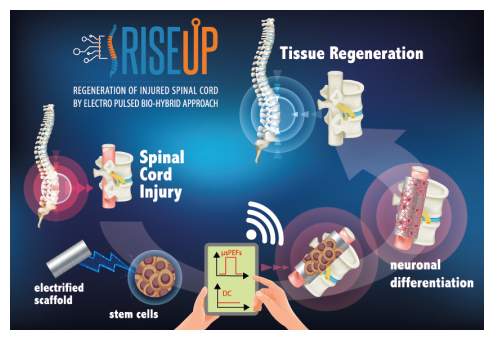 Schema del progetto RISEUP