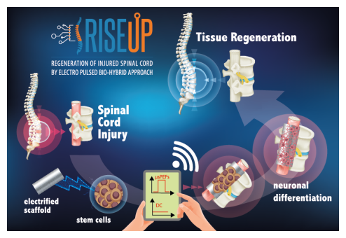 idea progettuale alla base di RISEUP