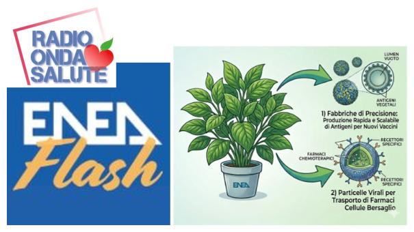 la_rivoluzione_della_nanomedicina_green