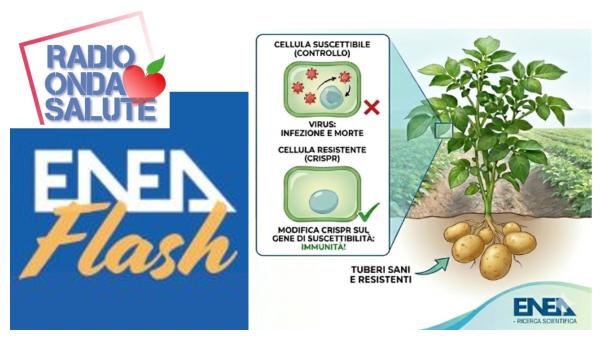 la_tecnologia_crispr_e_il_futuro_dell_agricoltura_sostenibile