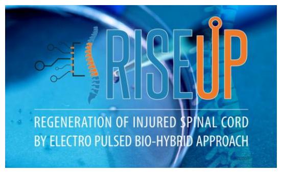 logo riseup