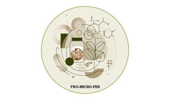 logo  PRO-MICRO-FER