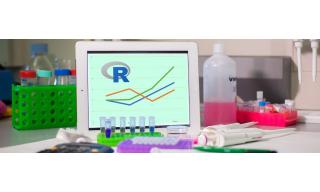 biostatistica_maggio_2019_cnr.jpg 
