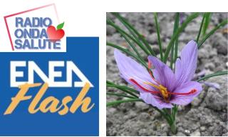 Alla scoperta delle crocine oltre lo zafferano