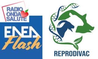 Il progetto REPRODIVAC