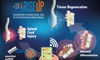 idea progettuale alla base di RISEUP
