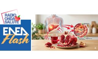 La melagrana alleata del fegato