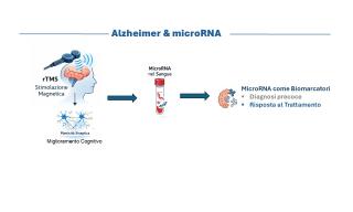 Risultati progetto DTA