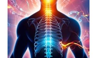 pubblicati i primi risultati in vivo del progetto RISEUP