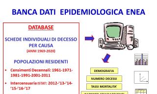 Banca dati epidemiologica ENEA