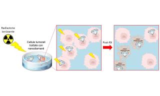 Interazione radiazioni e nano-diamanti nel trattamento dei tumori